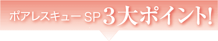 ポアレスキュー３大ポイント！
